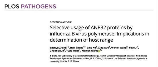 1610687630884717.jpg 攝圖網(wǎng)_500133665_商務(wù)人士機(jī)場打電話(非企業(yè)商用).jpg