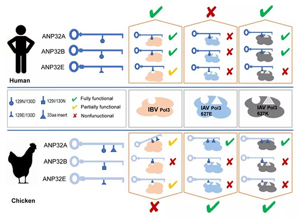 1610687791373187.jpg 微信圖片_20210115131602.jpg