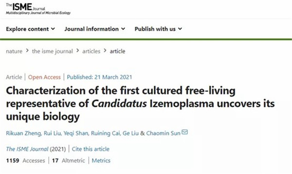 1621933043180081.jpg 640 (4).jpg