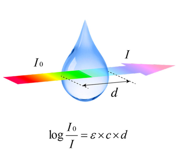 1649298222461886.jpg 640 (5).jpg