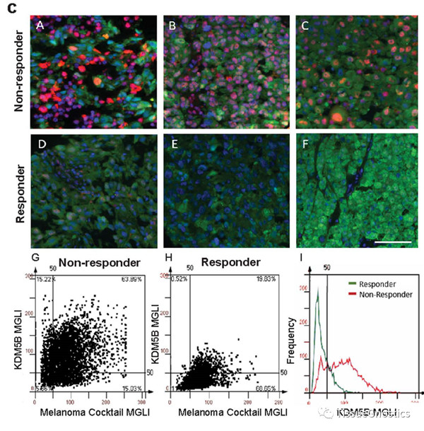 1649298480148009.jpg 640 (3).jpg