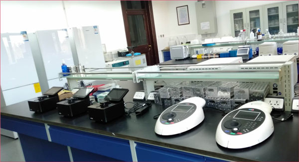 1677488455255321.jpg 640.jpg