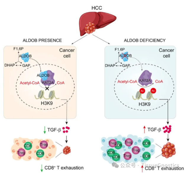 1713342978674550.png image.png